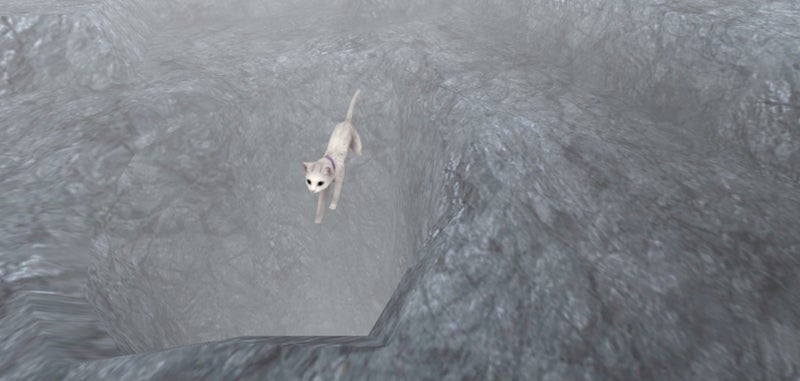 白い猫が岩場をジャンプ